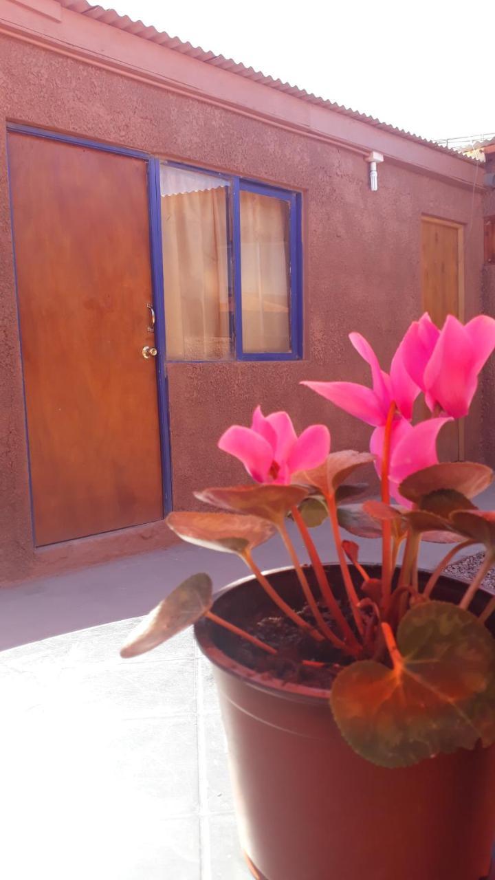 Hostal Open House Сан Педро де Атакама Екстериор снимка